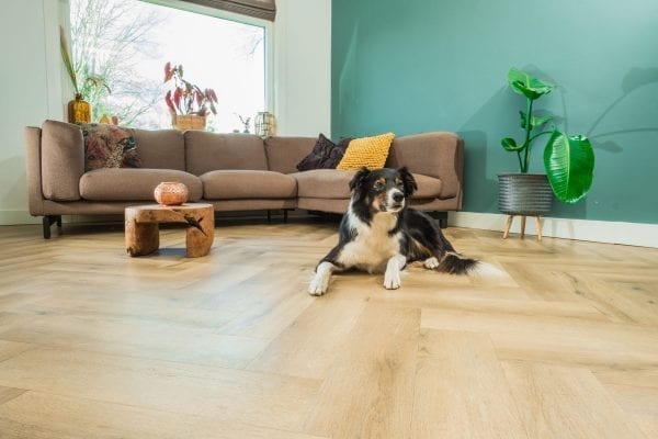 Vloerspecialist van Apeldoorn en Deventer